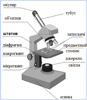 микроскоп.png