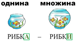 Змінювання іменників за числами (однина, множина) — урок. Українська мова  НУШ, 3 клас.