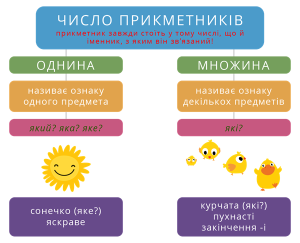 Визначення числа прикметників — урок. Українська мова НУШ, 3 клас.